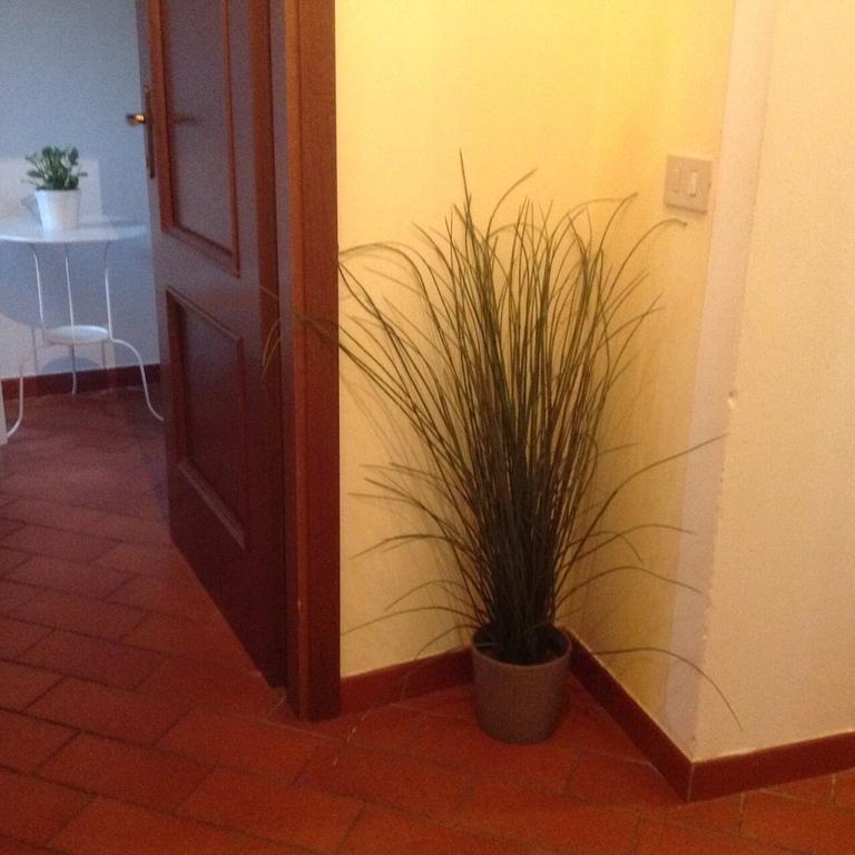 Tuscany House Centro Citta Apartment Pisa Exterior photo